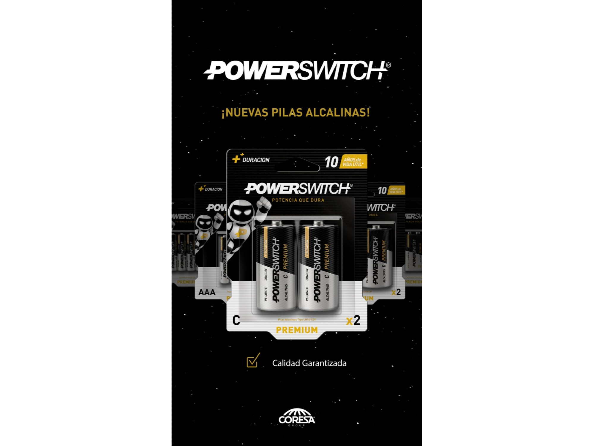 PILA ALCALINA MEDIANA 2U