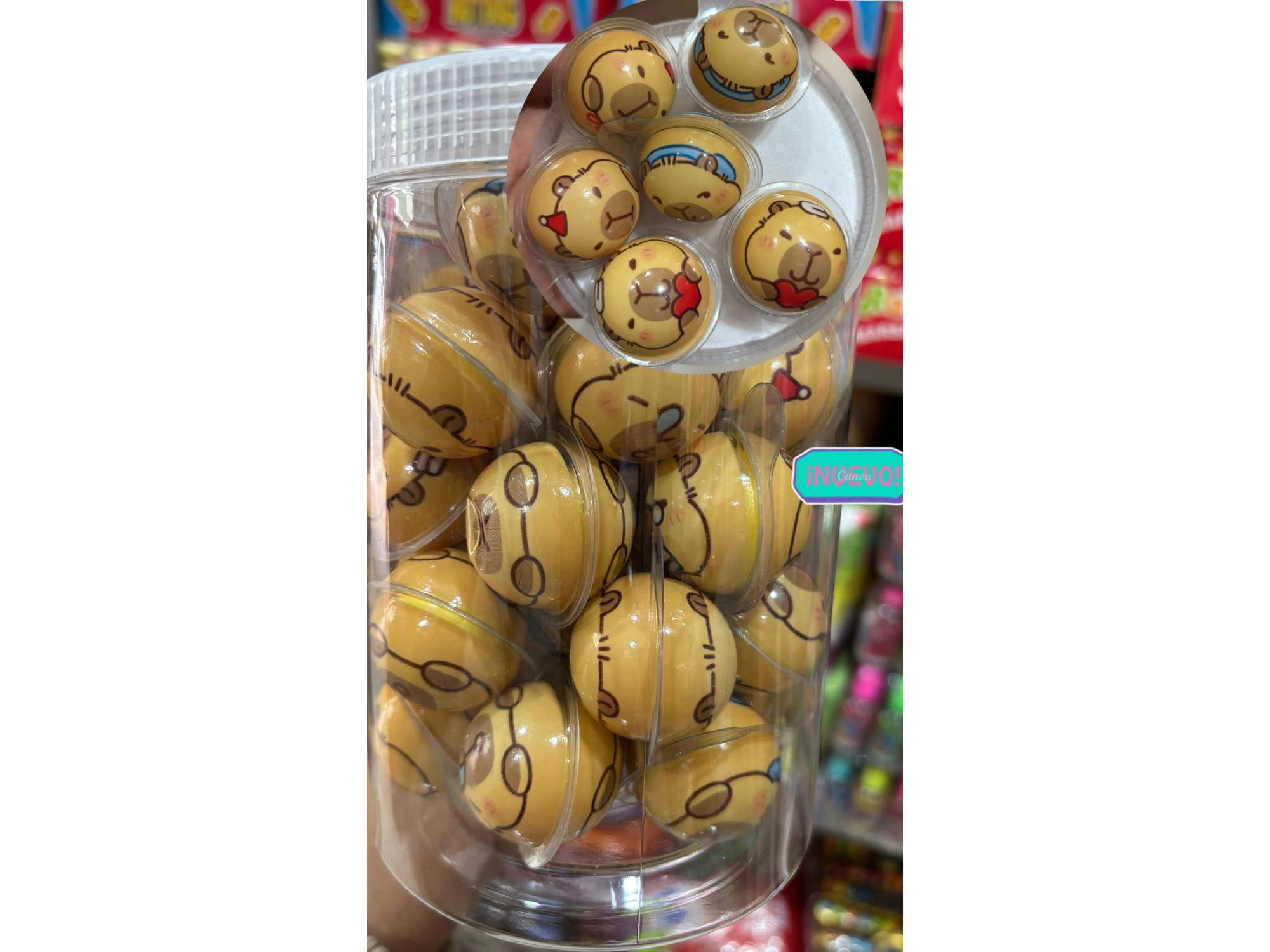 CAPIBARA GOMITA BLANDA 24*30