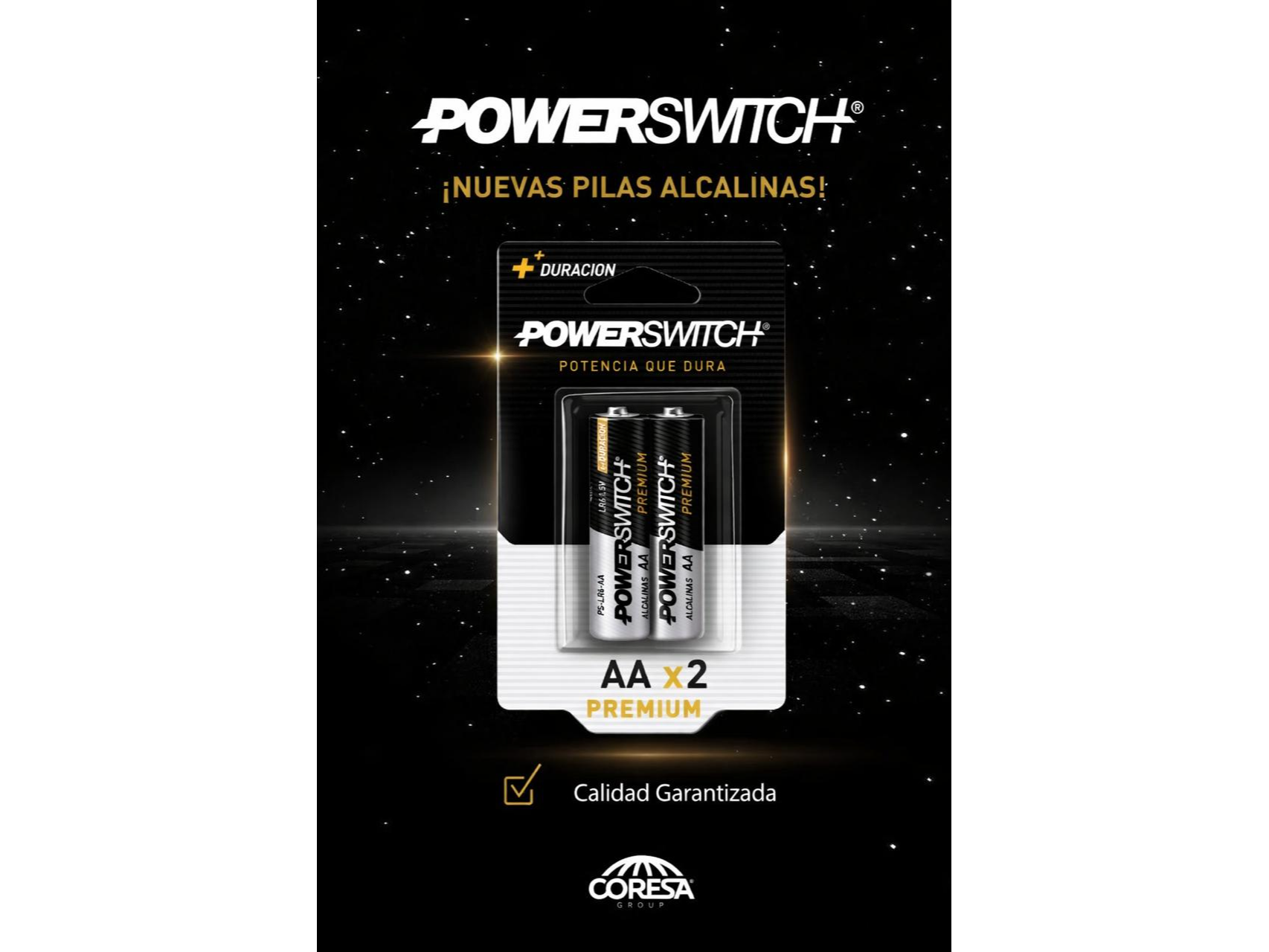 PILA ALCALINA AA X2U