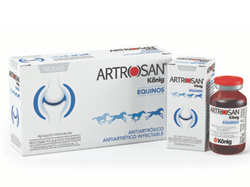 ARTROSAN EQUINO INTRAMUSCULAR 6 ML (konig)