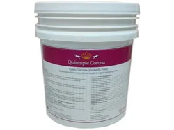 QUINTUPLE CORONA SUPLEMENTO 5 KG