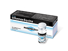 INFLUENZA EQUINA ROSEMBUSCH 1 DS