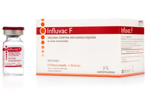 INFLUENZA INFLUVAC - 5 DS
