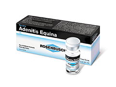 ADENITIS EQUINA ROSENBUSCH 1 DS