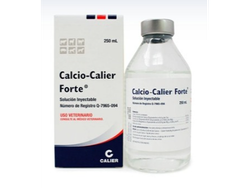 CALCIO CALIER FORTE