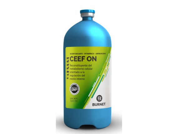 CEEF ON 500 ML