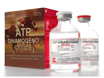 ATP DINAMOGENO