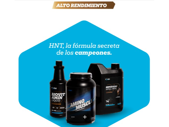 KIT HNT