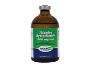 TIAMINA IMPORTADA 100 ML