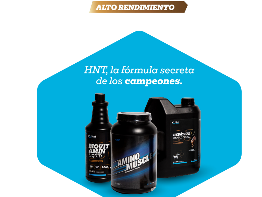 Kit Aminomuscle | Biovitamin Liquid | Hepático Renal Oral (Hro)