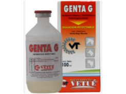 GENTA G 100 ML