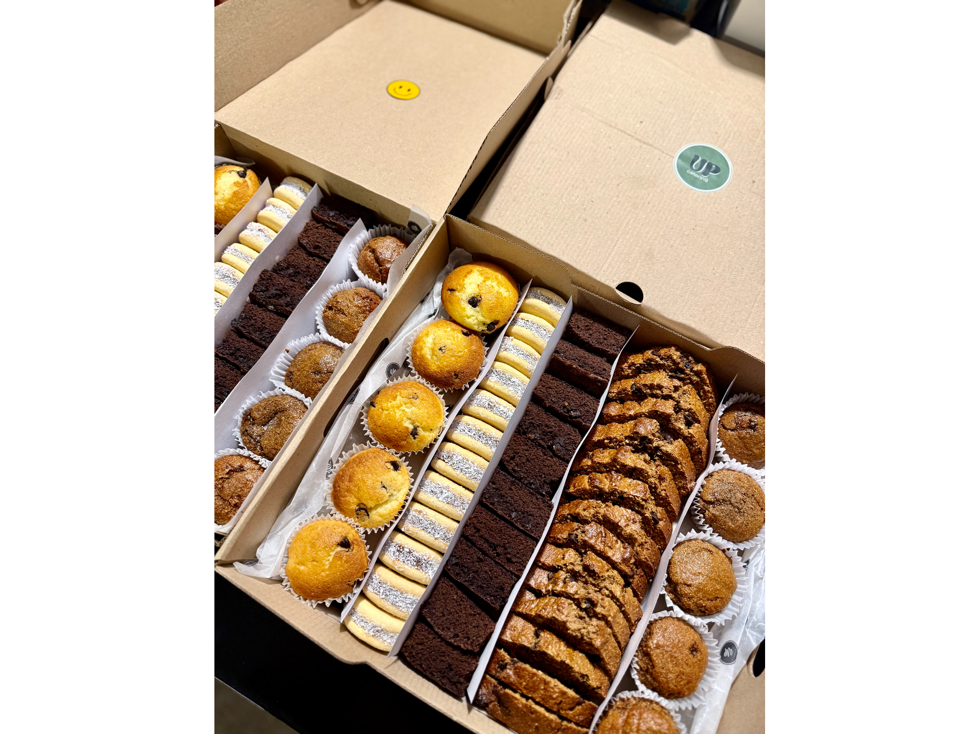 Box corpotativo empresarial