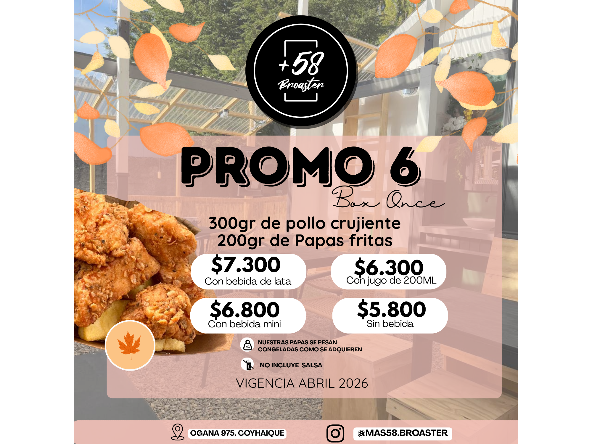 PROMO 6: BOX ONCE (300GRS DE POLLO CRUJIENTE + 200GRS DE PAPAS FRITAS)