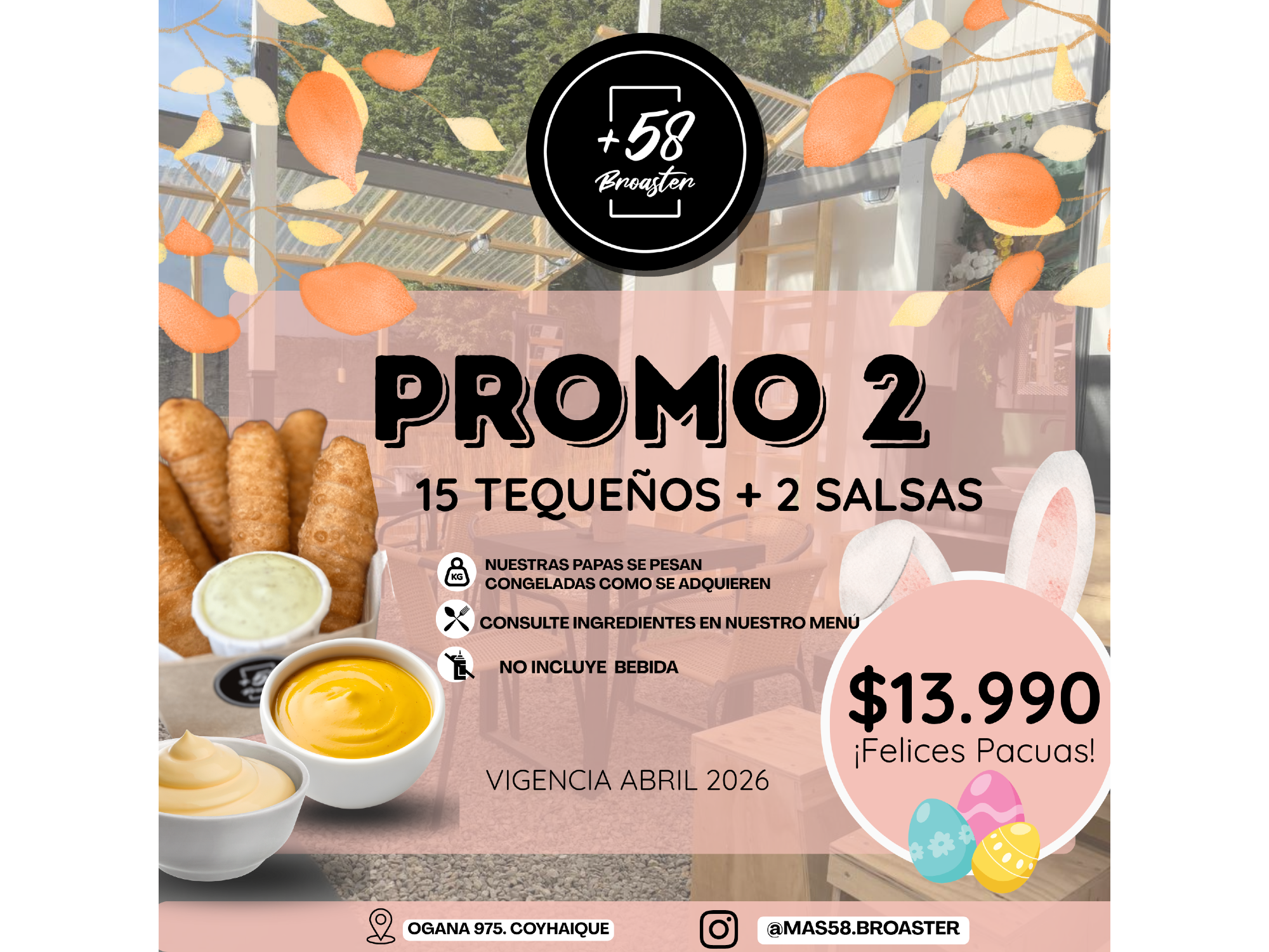 PROMO 2: 15 TEQUEÑOS + 2 SALSA DE LA CASA A ELECCION