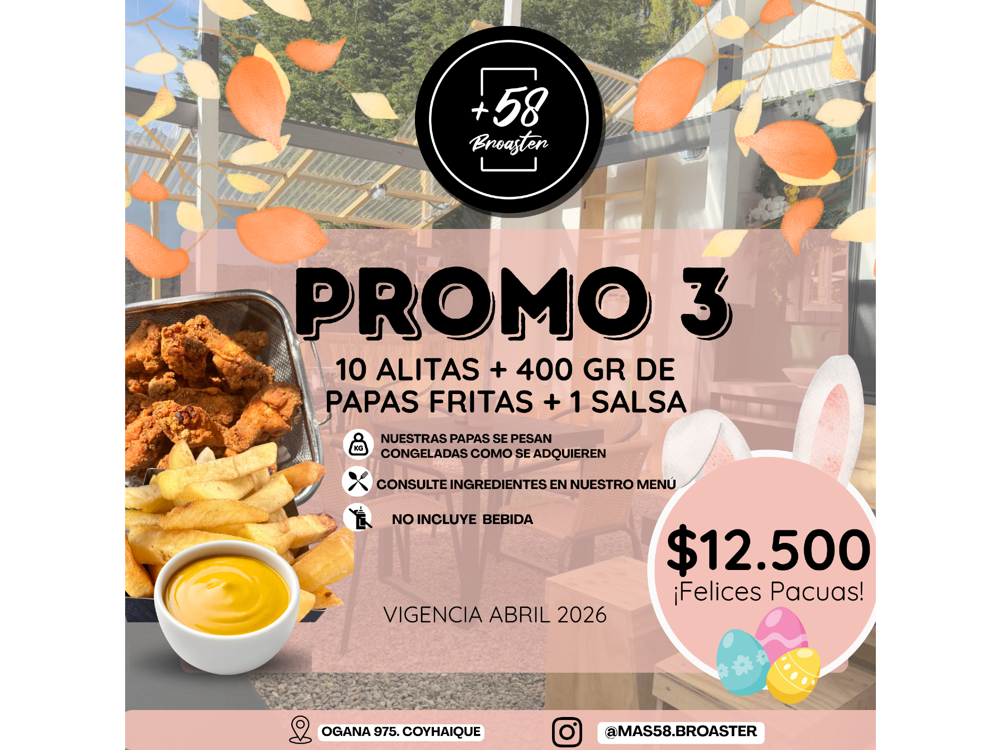 PROMO 3: 10 ALITAS + 400 GRS DE PAPAS FRITAS  + 1 SALSA