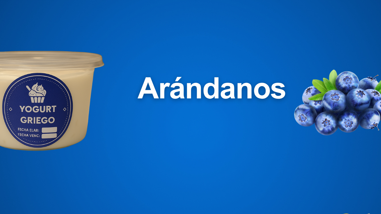 5 YOGURES GRIEGOS 180ml CON ARÁNDANOS