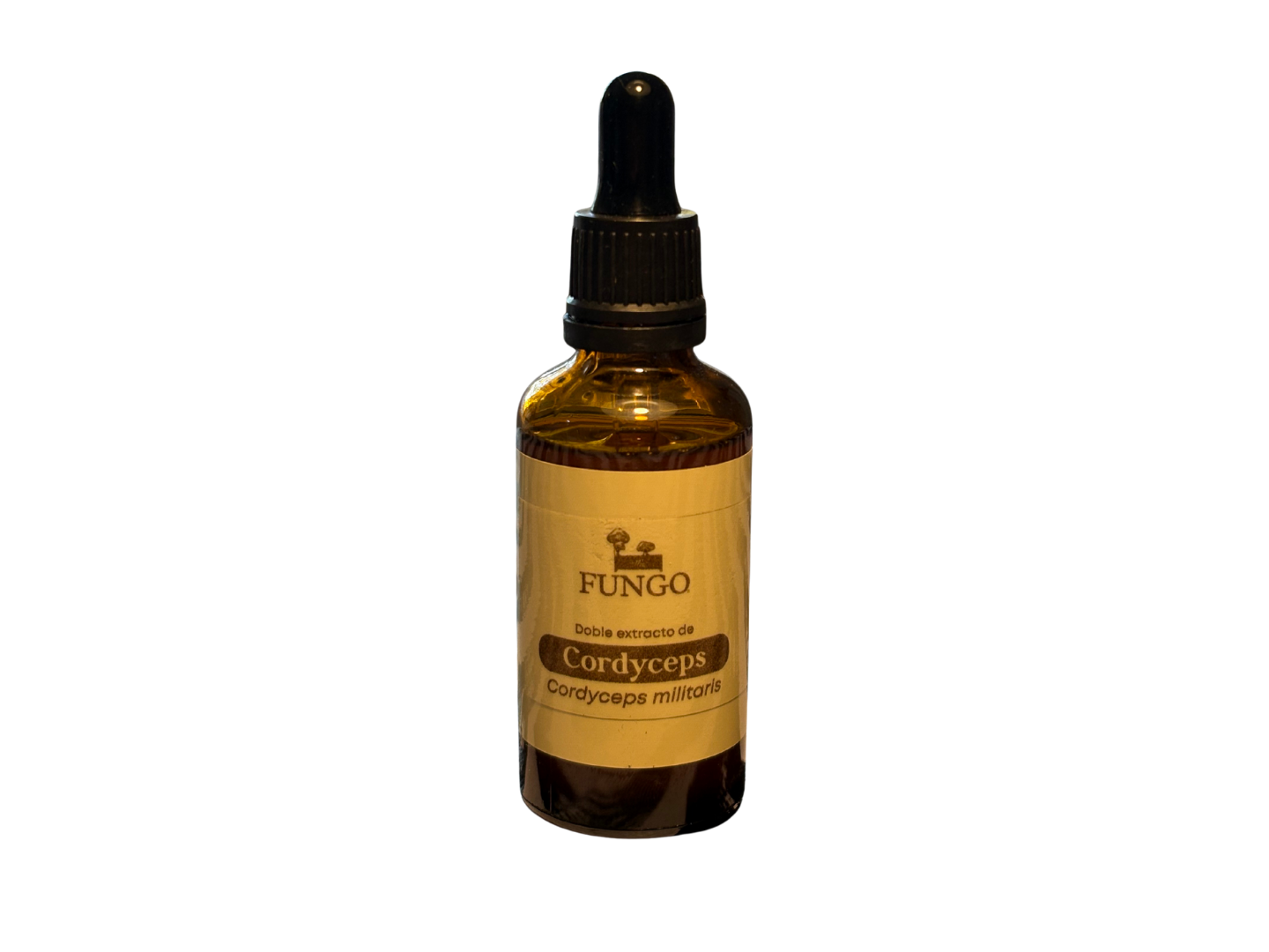 Tintura madre Cordyceps