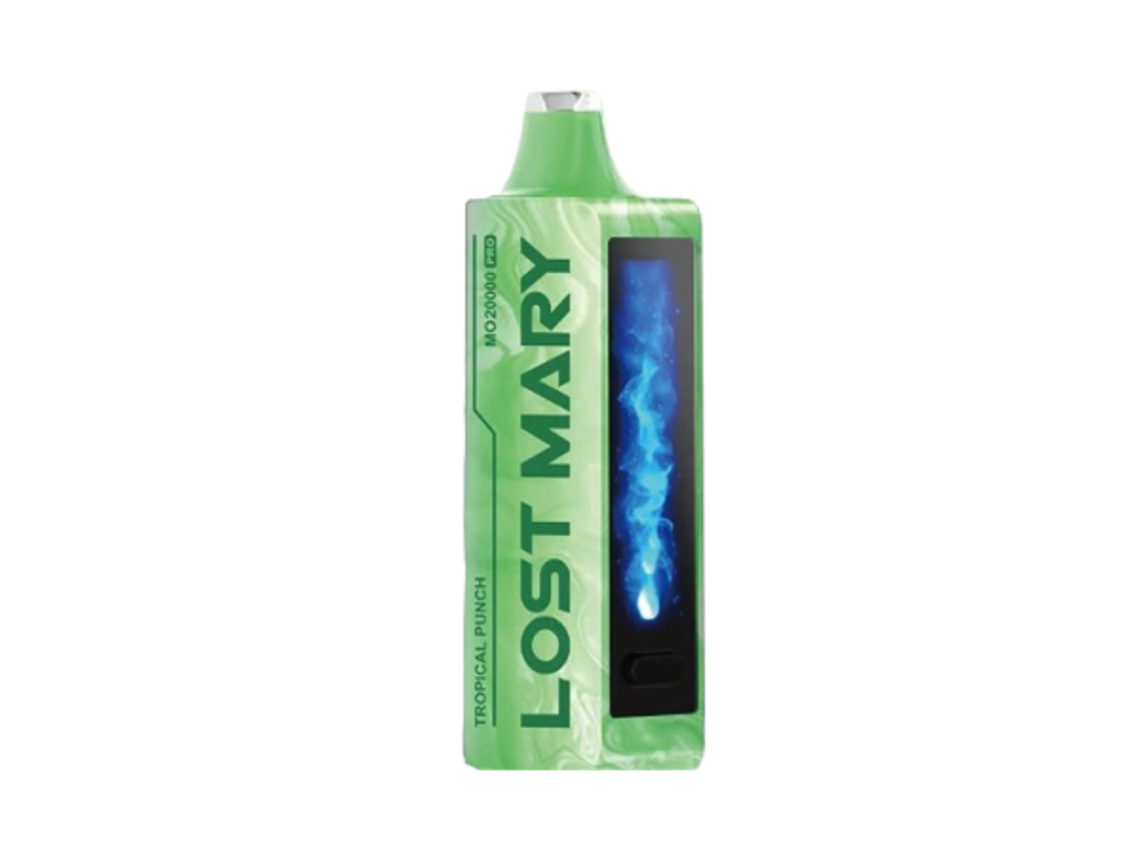 LOST MARY