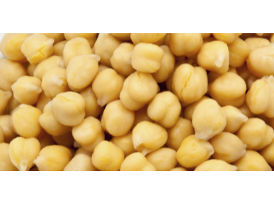 Garbanzo