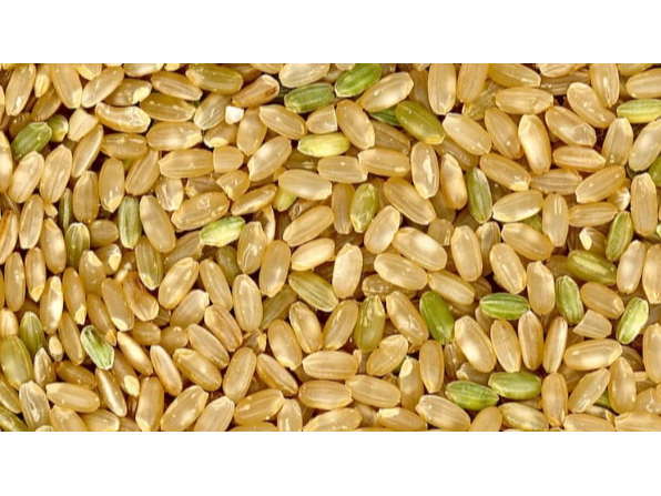 Arroz Yamaní de SAVRA-FuerzaNatural