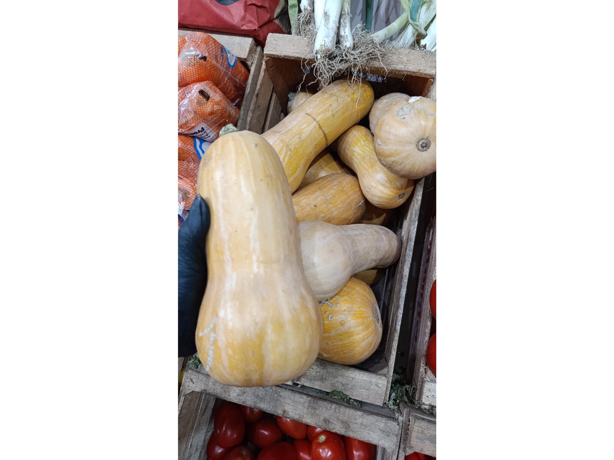 Calabaza