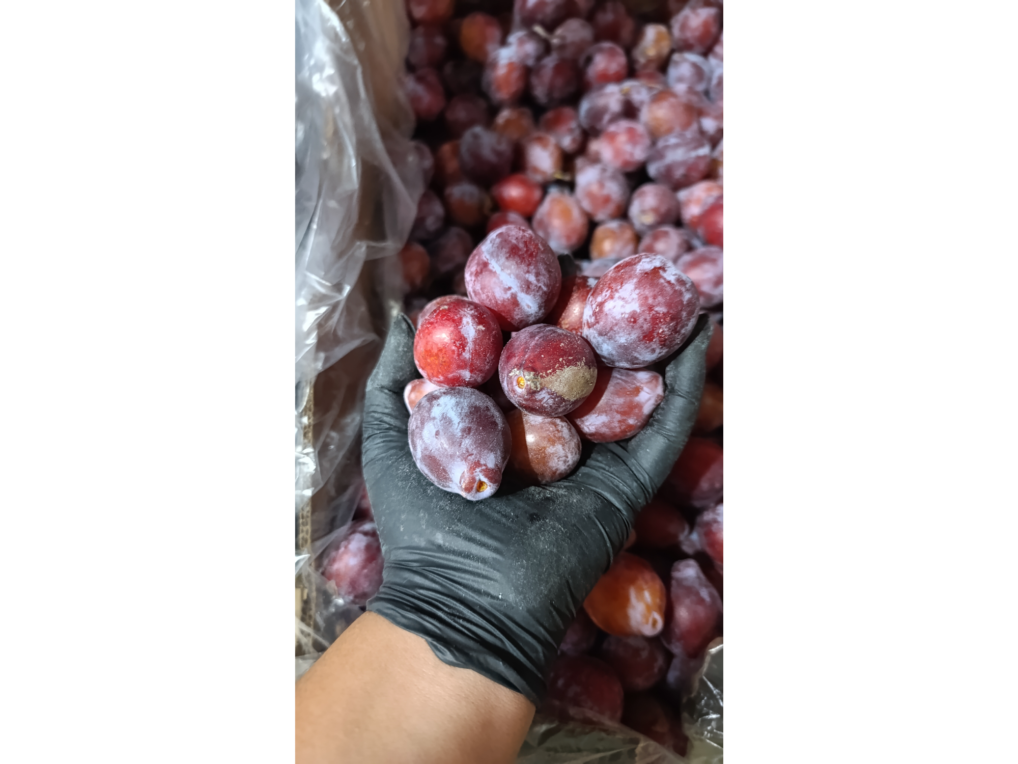 Ciruelas Gotitas de Miel