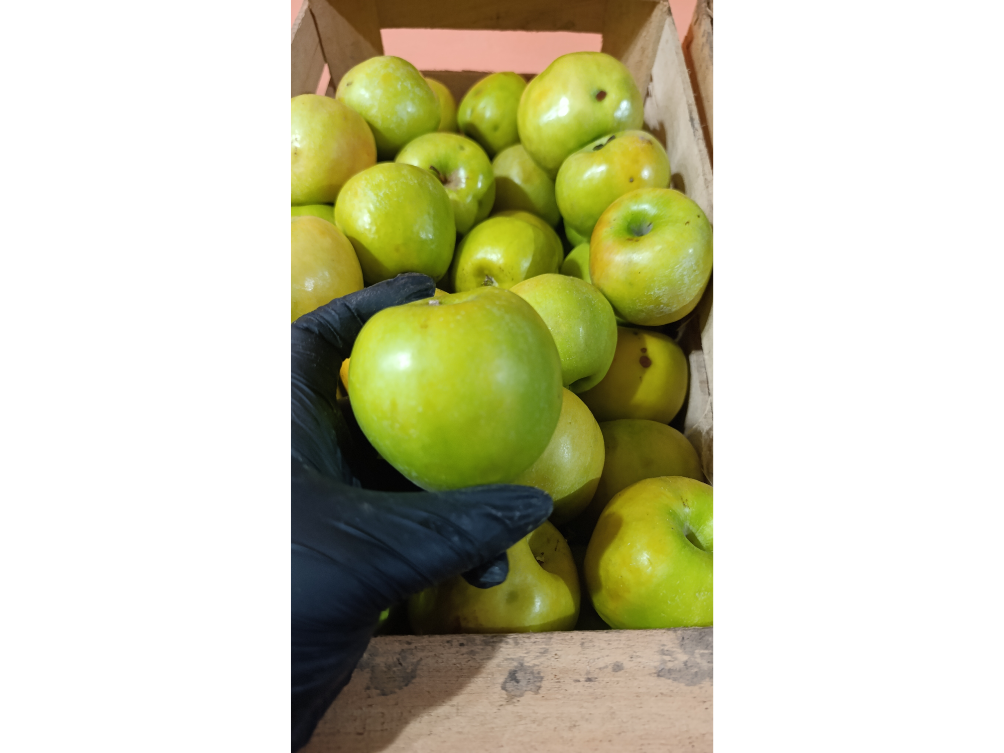 Manzana Verde
