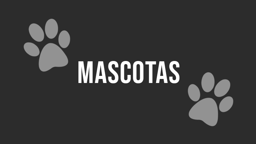 Mascotas
