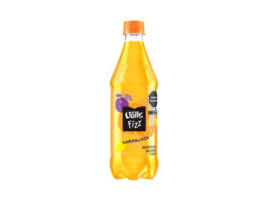 Del Valle Fizz Naranjada