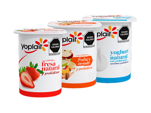 Yoghurt Yoplait Vasito