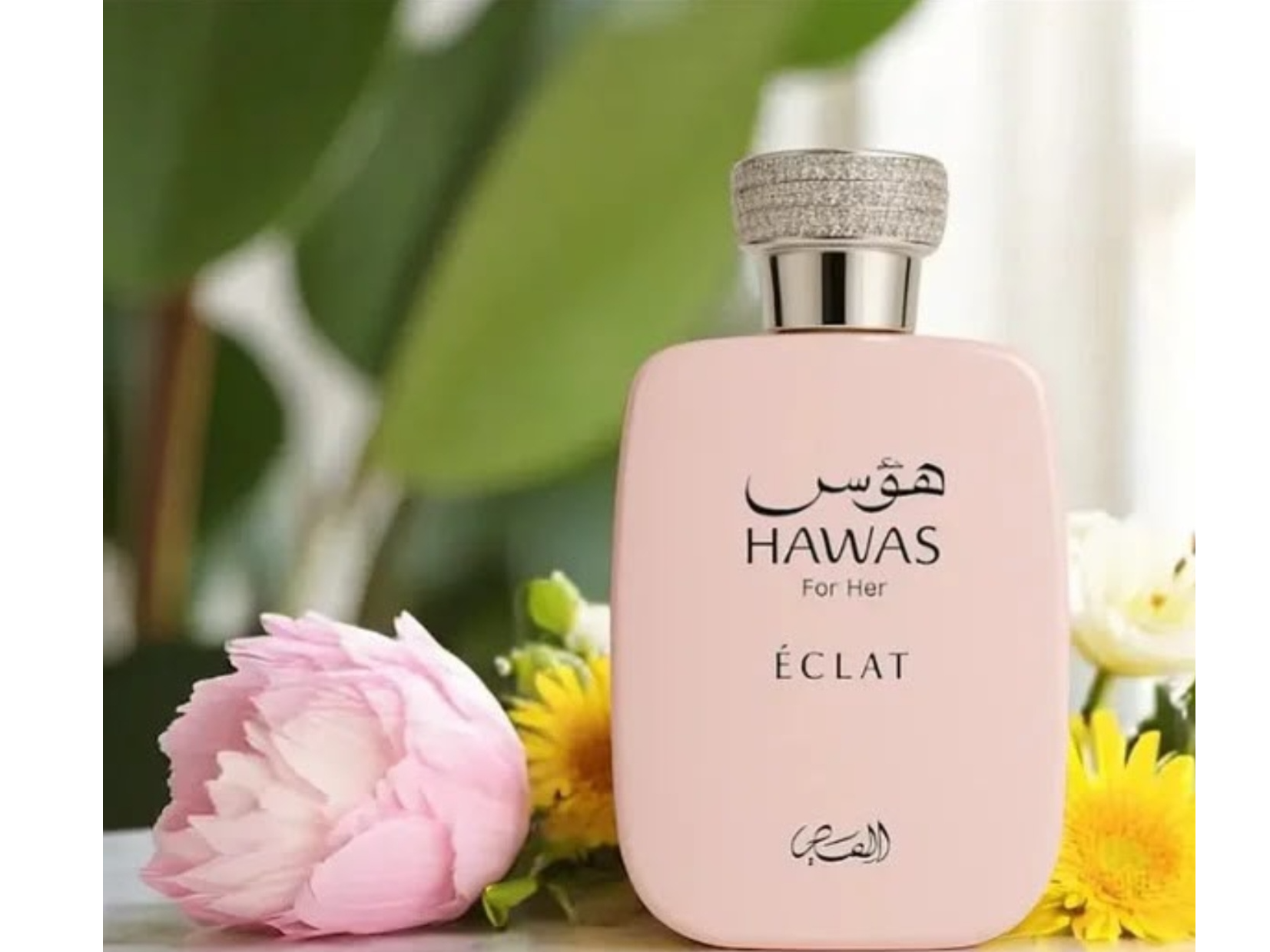 HAWAS ECLAT