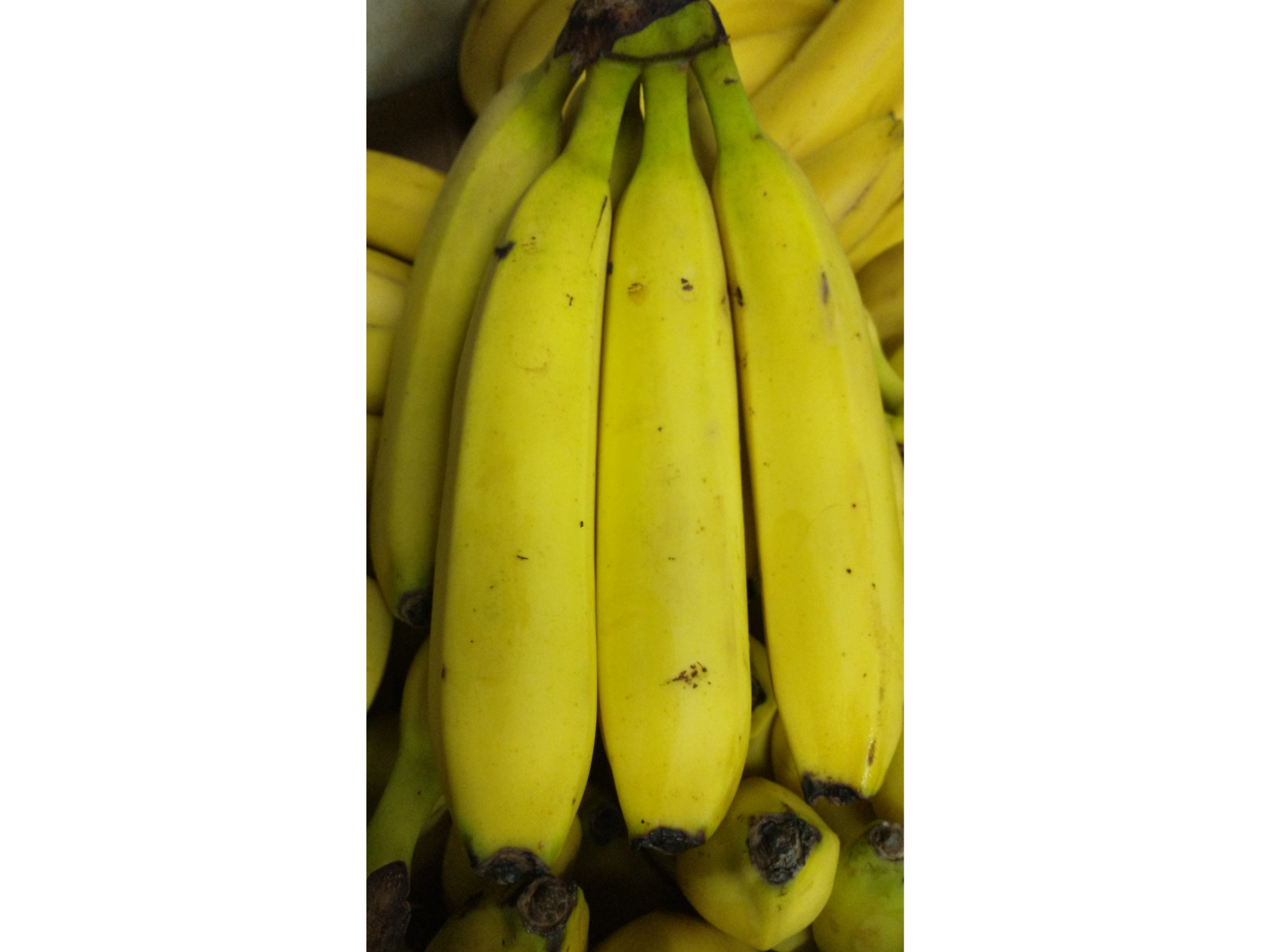 Banana boliviana x 500grs