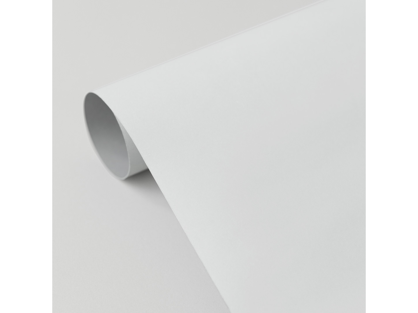 CARTULINA BLANCA