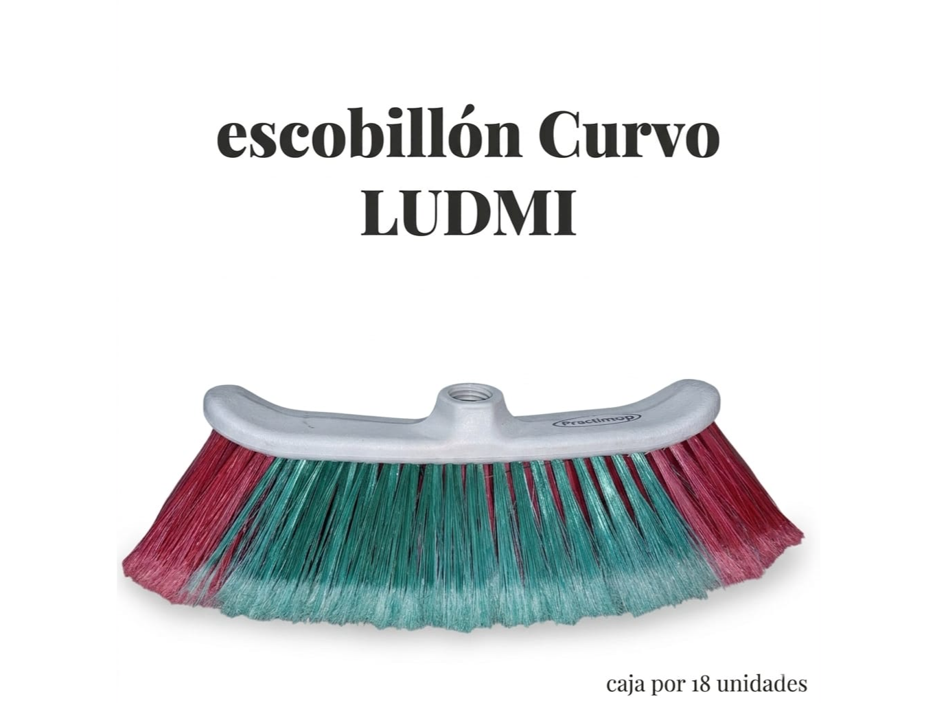 Escobillón Ludmi