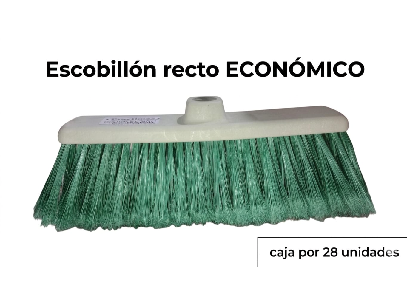 Escobillón recto ECONOMICO