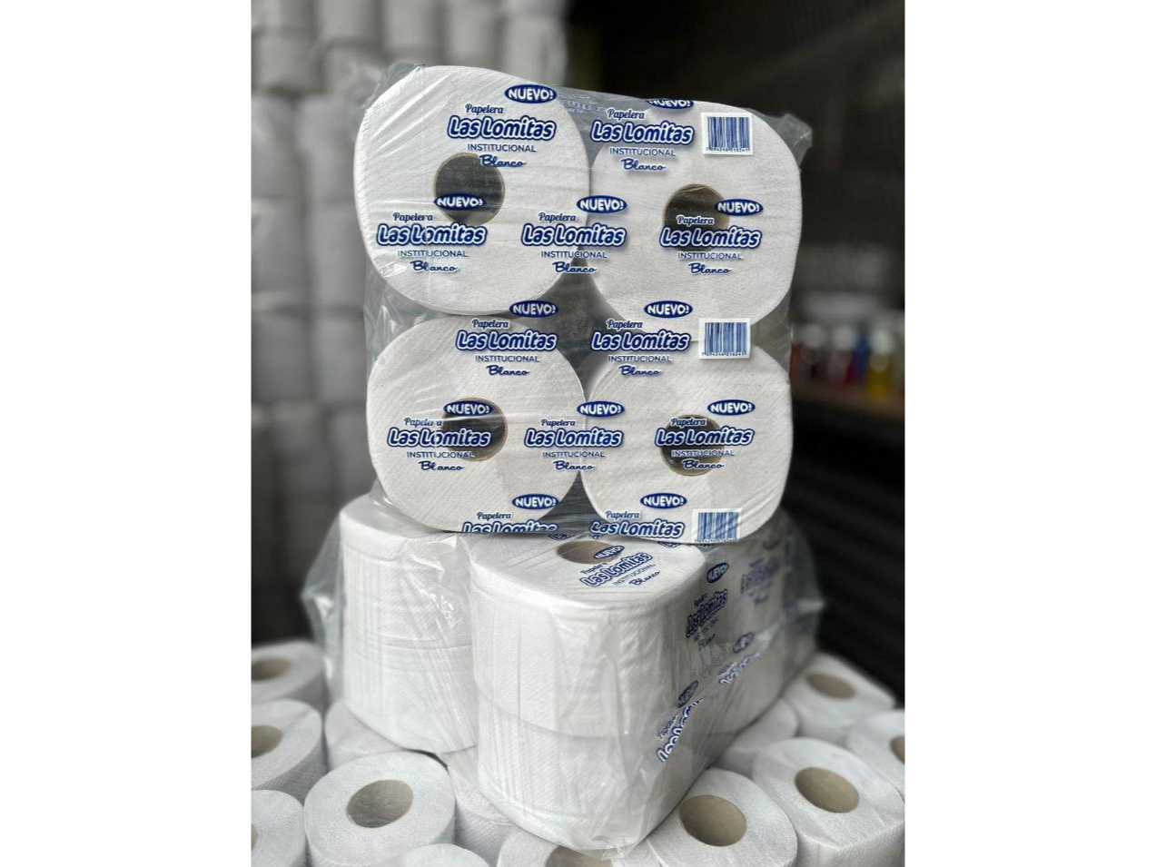 BOBINA PAPEL INSTITUCIONAL 8x250 m