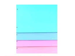 CARPETA N° 5 LISA PVC