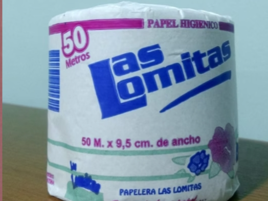 PAPEL HIG.  ENVUELTO NATURAL  48x50