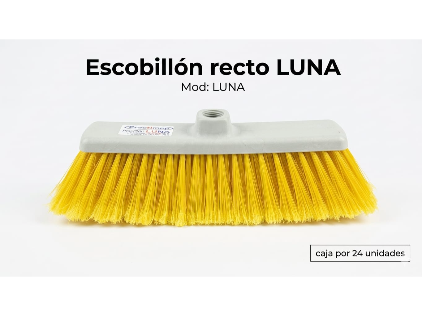 Escobillon recto Luna