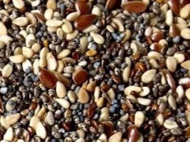 Mix de semillas