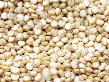 Quinoa