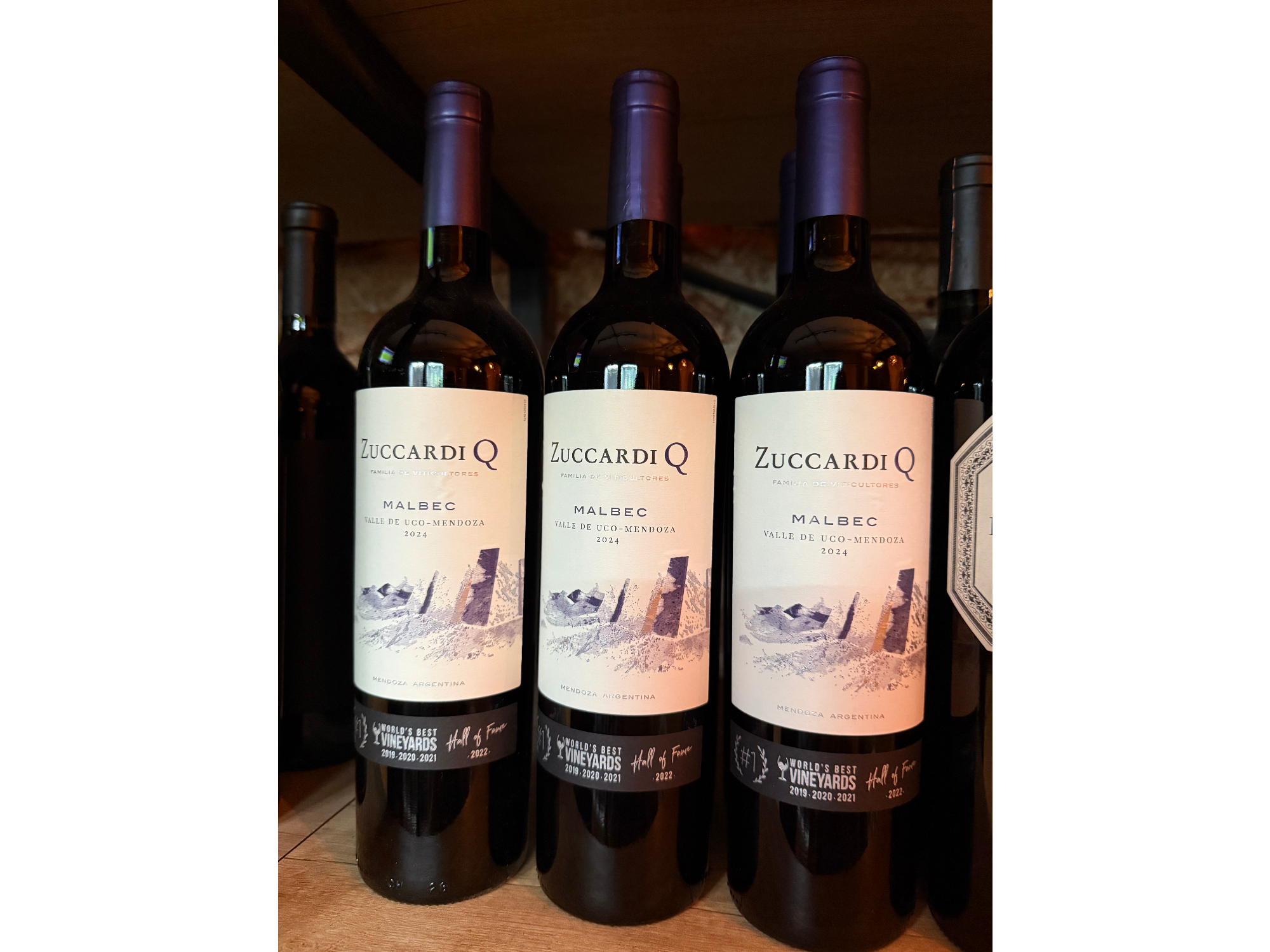 Zuccardi Q Malbec