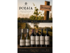 BODEGA POESIA