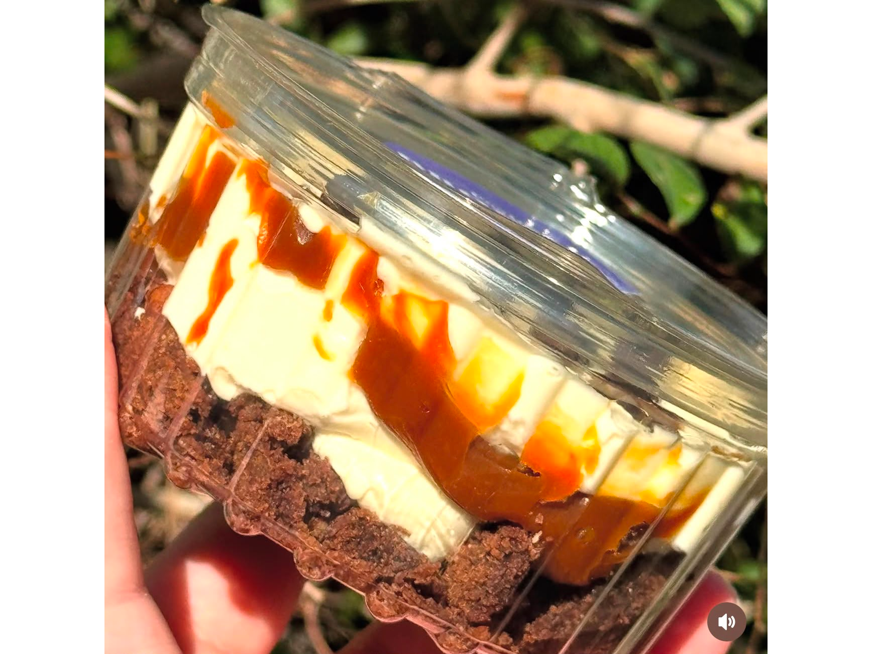 Bomba brownie