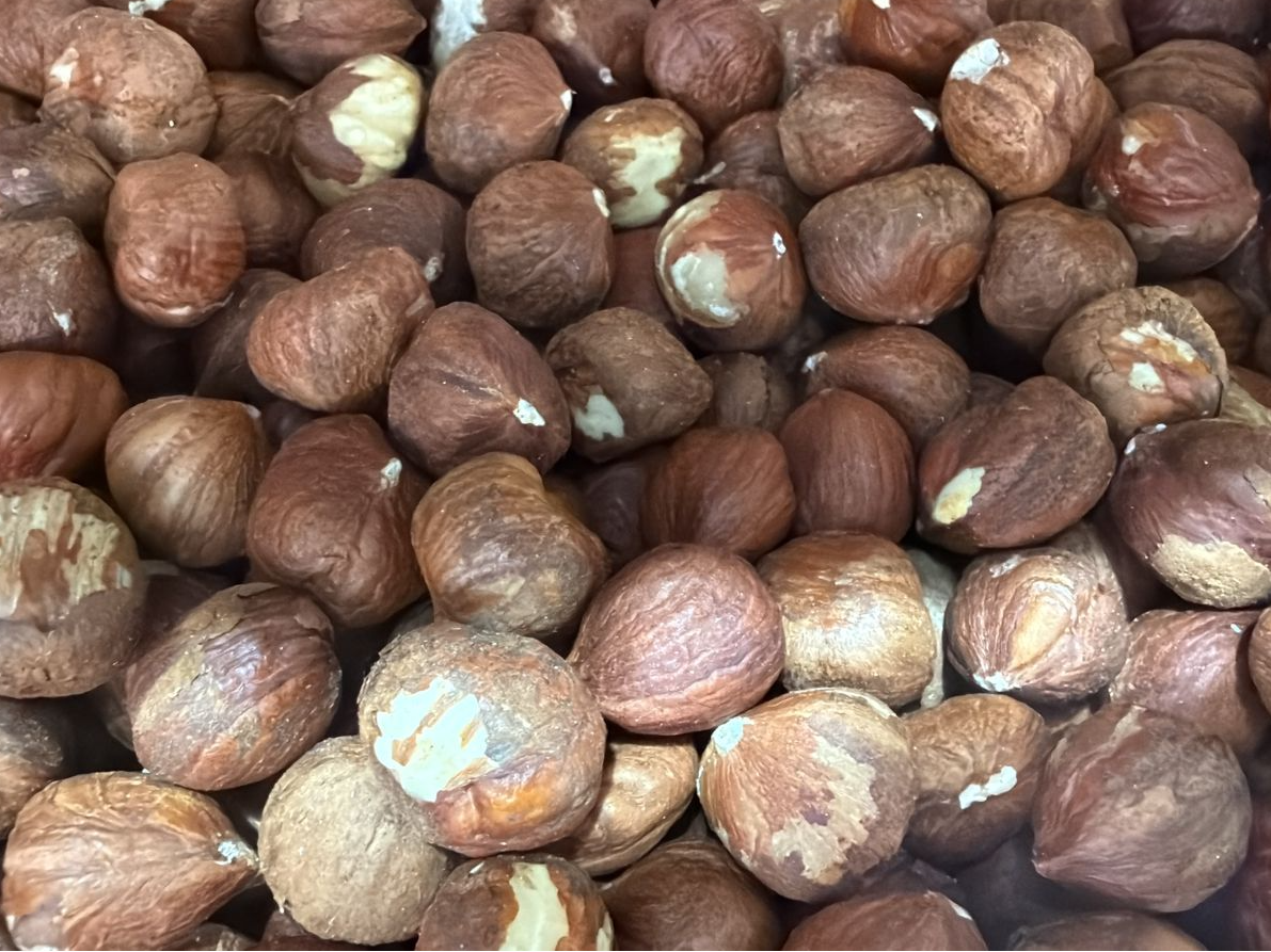 AVELLANAS