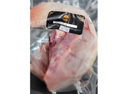 Lengua