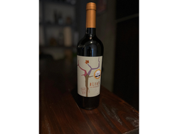 TRIVARIETAL 2022- TANNAT/SHIRAZ/MALBEC - ALTOS LA CIENAGA