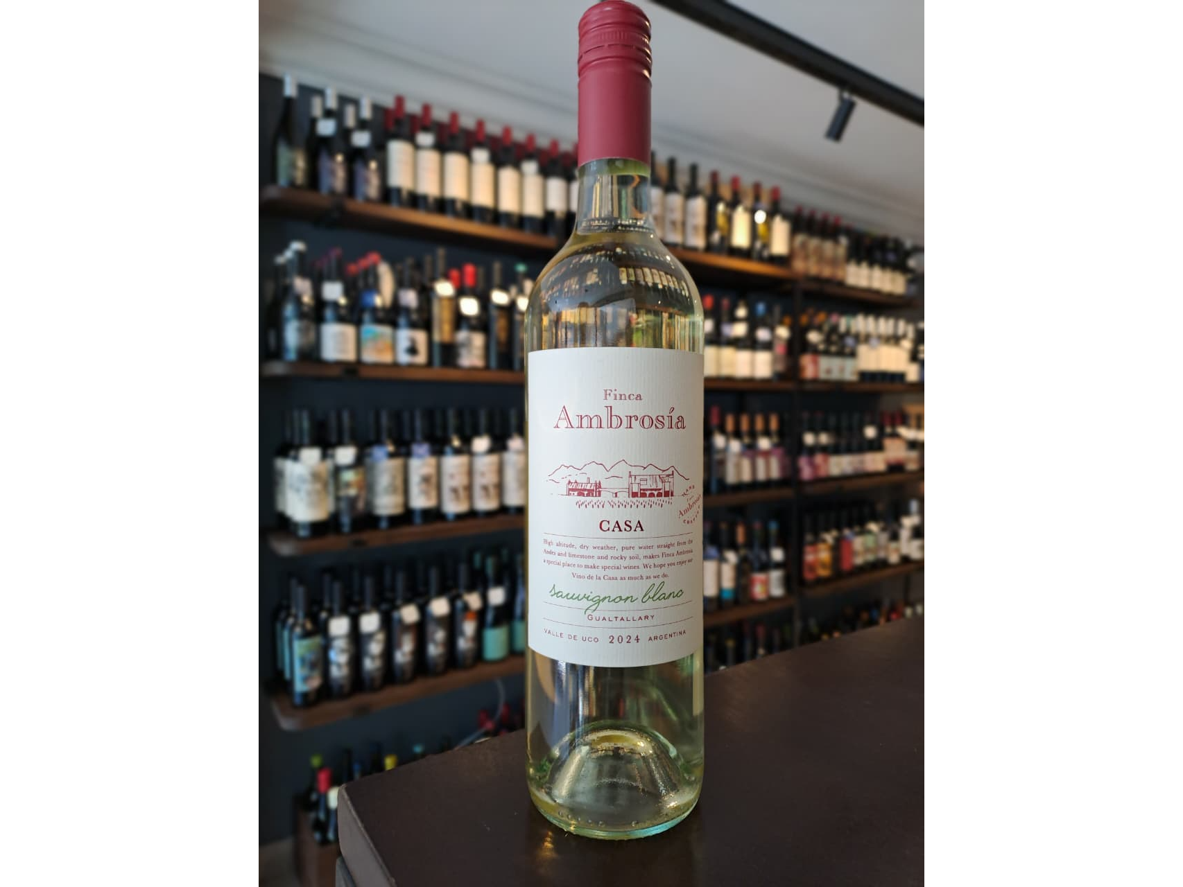 SAUVIGNON BLANC - FINCA AMBROSIA