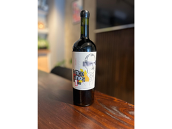 MALBEC - CINCO AÑOS Y UN DIA - LEGUIS WINES