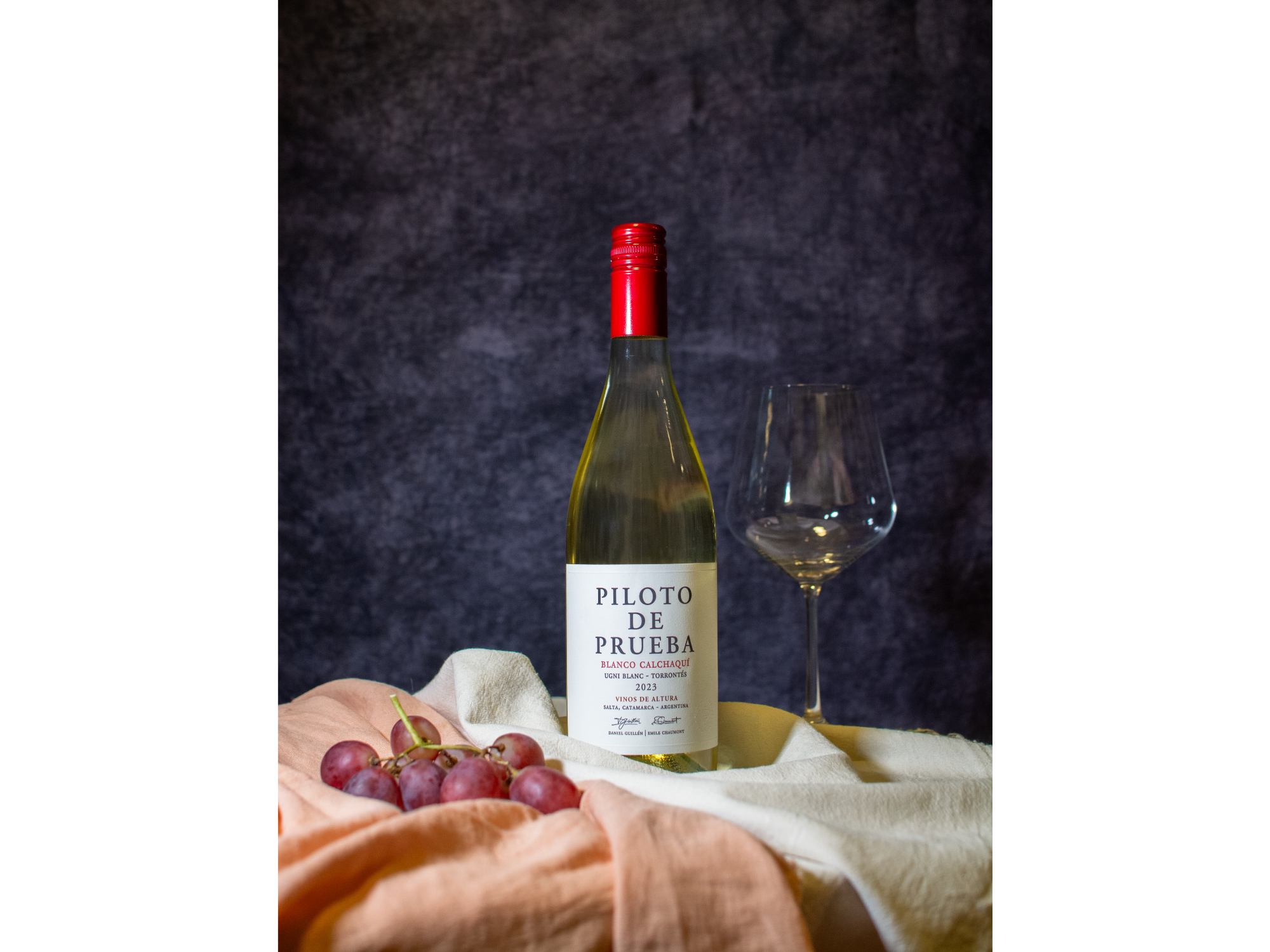 TORRONTES - UGNI BLANC -  BLANCO CALCHAQUI - PILOTO DE PRUEBA